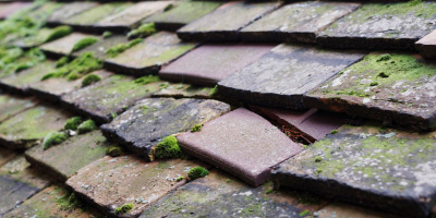 Gellywen roof repair costs